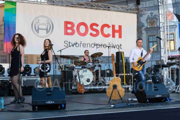 Bosch-034