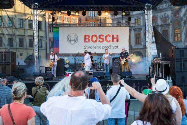 Bosch-076